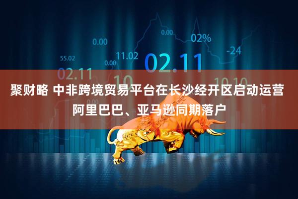 聚财略 中非跨境贸易平台在长沙经开区启动运营 阿里巴巴、亚马逊同期落户