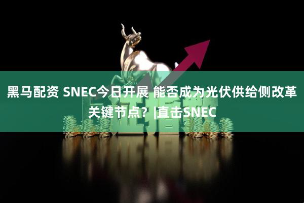 黑马配资 SNEC今日开展 能否成为光伏供给侧改革关键节点？|直击SNEC