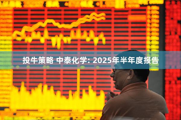 投牛策略 中泰化学: 2025年半年度报告