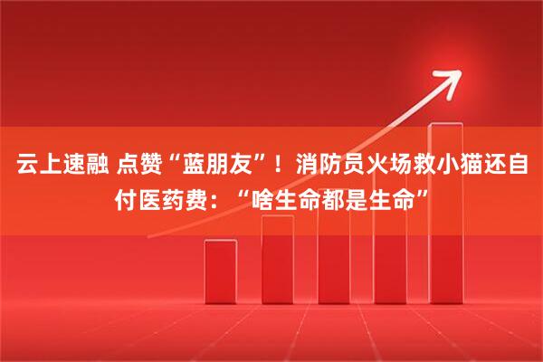 云上速融 点赞“蓝朋友”！消防员火场救小猫还自付医药费：“啥生命都是生命”