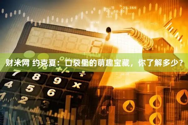 财米网 约克夏：口袋里的萌趣宝藏，你了解多少？