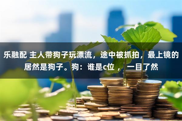 乐融配 主人带狗子玩漂流，途中被抓拍，最上镜的居然是狗子。狗：谁是c位 ， 一目了然