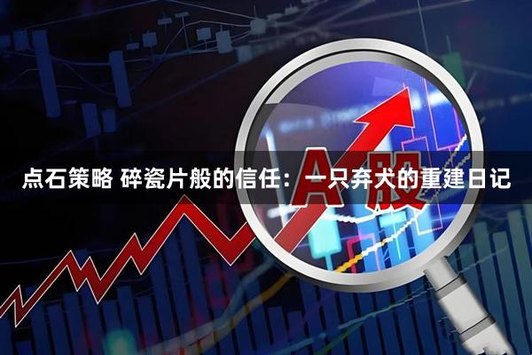 点石策略 碎瓷片般的信任：一只弃犬的重建日记