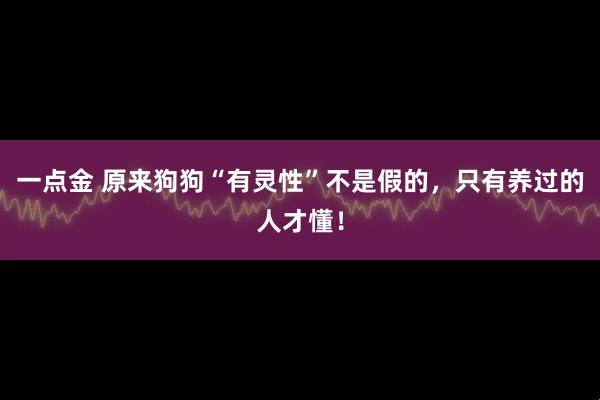 一点金 原来狗狗“有灵性”不是假的，只有养过的人才懂！