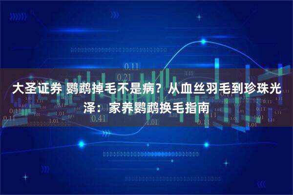 大圣证券 鹦鹉掉毛不是病？从血丝羽毛到珍珠光泽：家养鹦鹉换毛指南