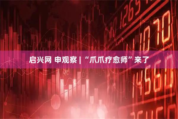 启兴网 申观察 | “爪爪疗愈师”来了